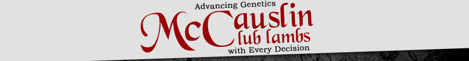 McCauslin Club Lambs