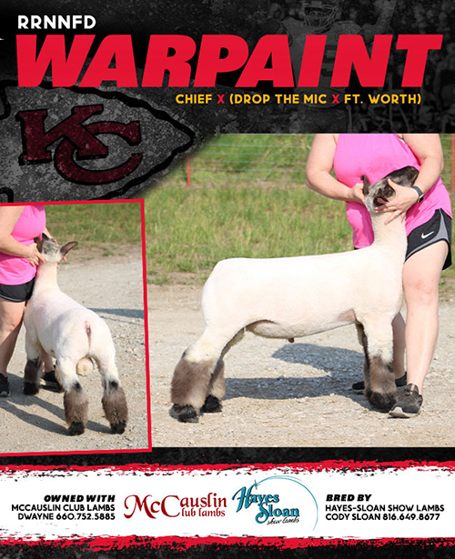 Warpaint